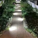 Matinella * טרני