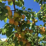וילה Matinella טרני