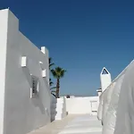 Matinella טרני