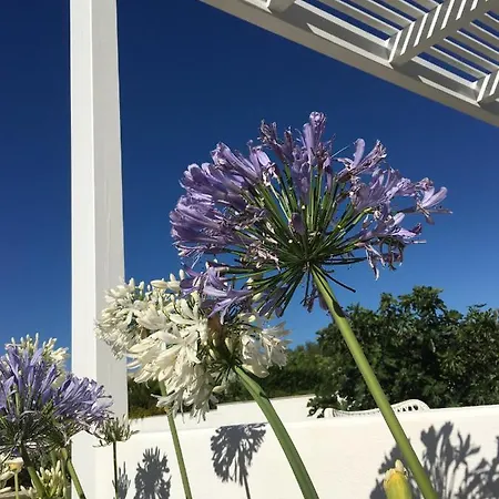 Matinella Willa Trani