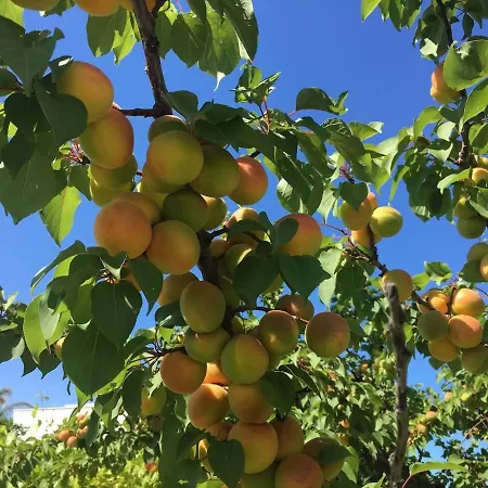 Willa Matinella Trani