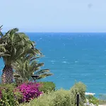Matinella * تراني