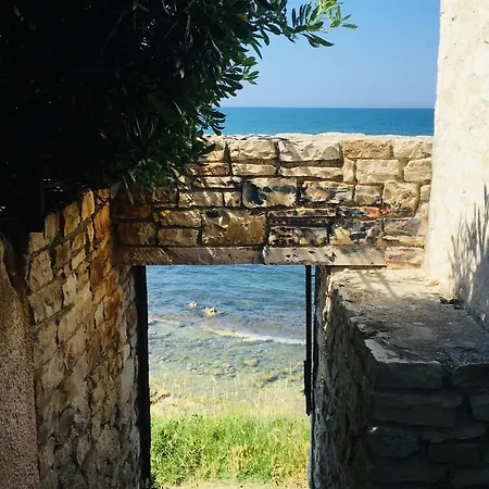 Matinella * Trani