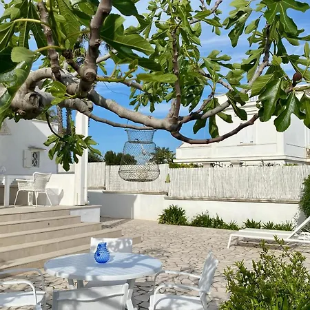 Matinella Trani
