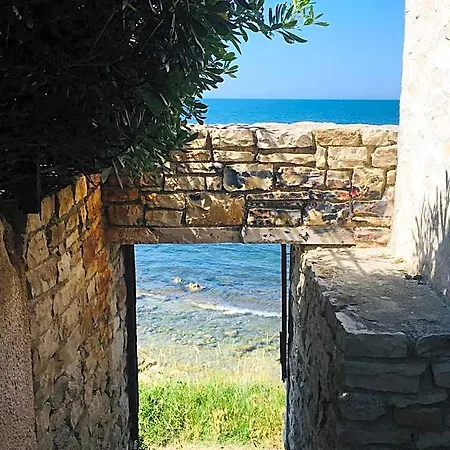 Matinella *
