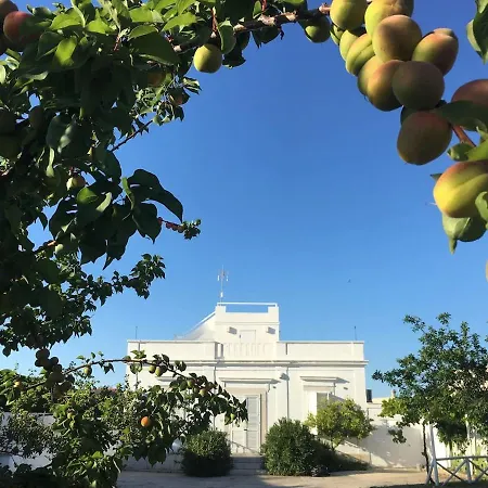 Matinella * Trani