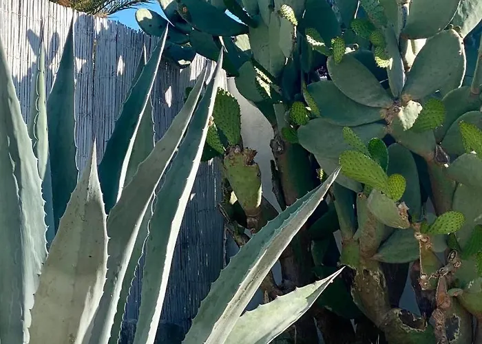 Вилла Matinella *