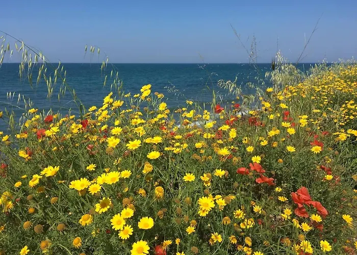 Вилла Matinella *