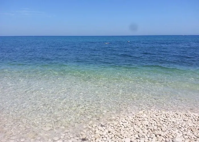 Matinella * Трани