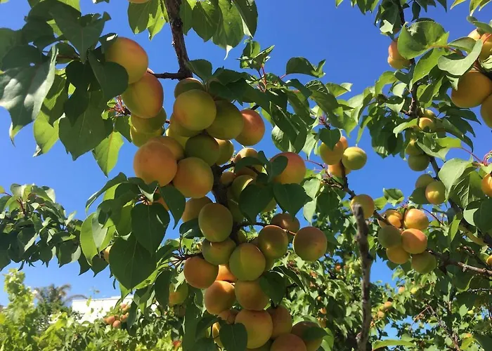 Вилла Matinella Трани